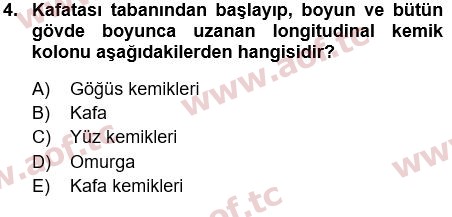 2022 Tıp Terimleri Yaz Okulu 4. Çıkmış Sınav Sorusu