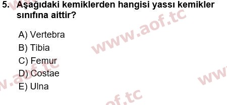 2022 Tıp Terimleri Yaz Okulu 5. Çıkmış Sınav Sorusu