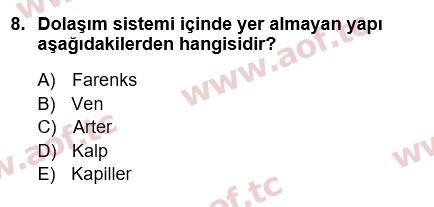 2022 Tıp Terimleri Yaz Okulu 8. Çıkmış Sınav Sorusu