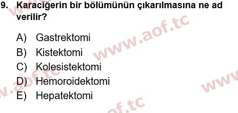 2022 Tıp Terimleri Yaz Okulu 9. Çıkmış Sınav Sorusu