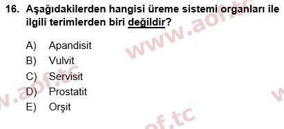 2024 Tıp Terimleri Arasınav 16. Çıkmış Sınav Sorusu
