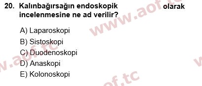 2024 Tıp Terimleri Arasınav 20. Çıkmış Sınav Sorusu