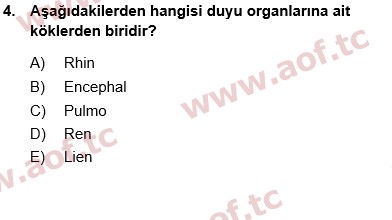 2024 Tıp Terimleri Arasınav 4. Çıkmış Sınav Sorusu