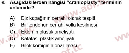 2024 Tıp Terimleri Arasınav 6. Çıkmış Sınav Sorusu
