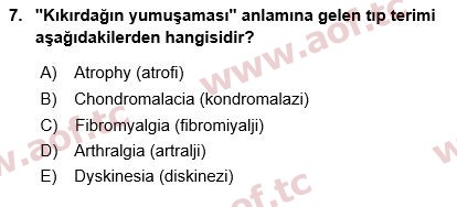 2024 Tıp Terimleri Arasınav 7. Çıkmış Sınav Sorusu