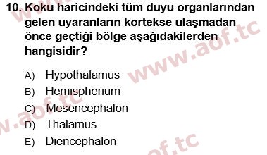 2025 Tıp Terimleri Arasınav 10. Çıkmış Sınav Sorusu