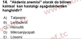 2025 Tıp Terimleri Arasınav 14. Çıkmış Sınav Sorusu