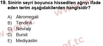 2025 Tıp Terimleri Arasınav 19. Çıkmış Sınav Sorusu