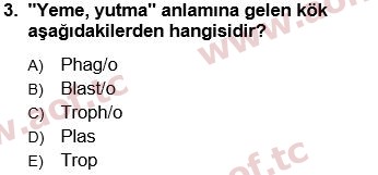 2025 Tıp Terimleri Arasınav 3. Çıkmış Sınav Sorusu