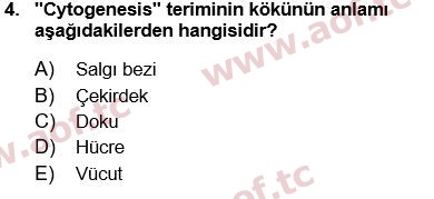 2025 Tıp Terimleri Arasınav 4. Çıkmış Sınav Sorusu