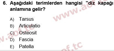 2025 Tıp Terimleri Arasınav 6. Çıkmış Sınav Sorusu