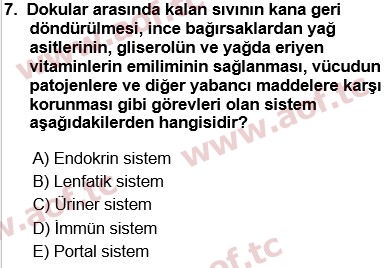 2025 Tıp Terimleri Arasınav 7. Çıkmış Sınav Sorusu