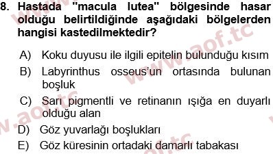 2025 Tıp Terimleri Arasınav 8. Çıkmış Sınav Sorusu
