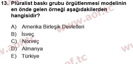 2024 Siyaset Bilimi Yaz Okulu 13. Çıkmış Sınav Sorusu