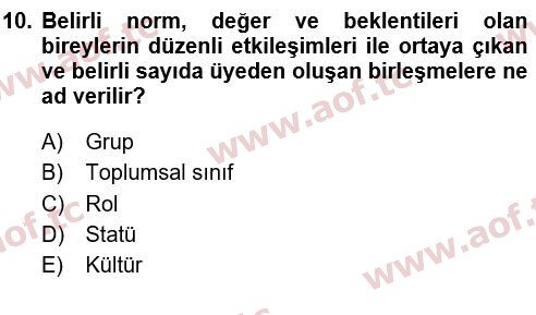 2020 Davranış Bilimleri 1 Yaz Okulu 10. Çıkmış Sınav Sorusu