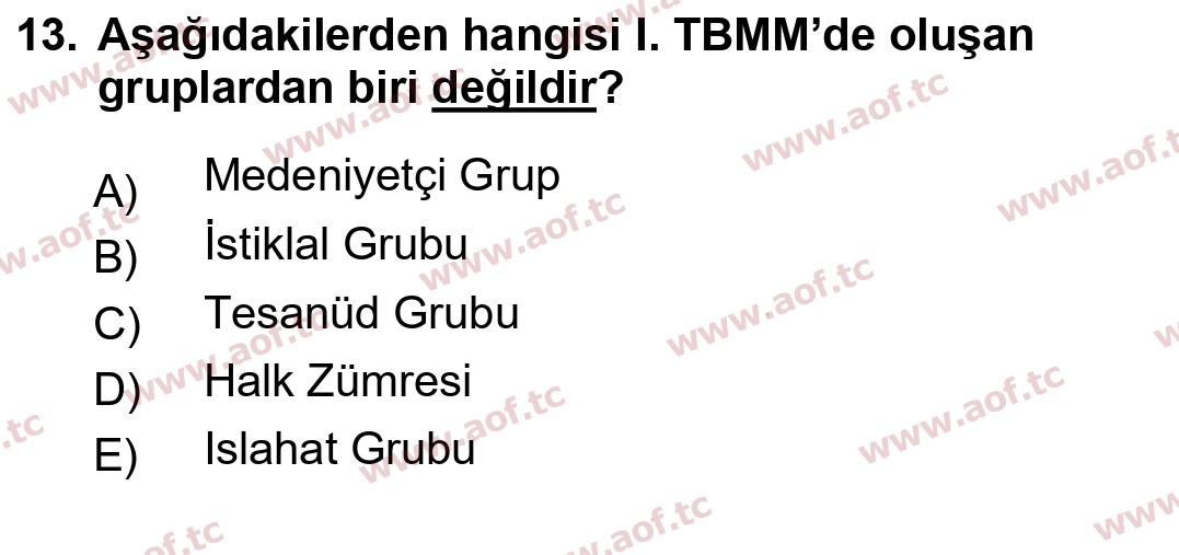 2019 Atatürk İlkeleri ve İnkılap Tarihi 1 Yaz Okulu 13. Çıkmış Sınav Sorusu