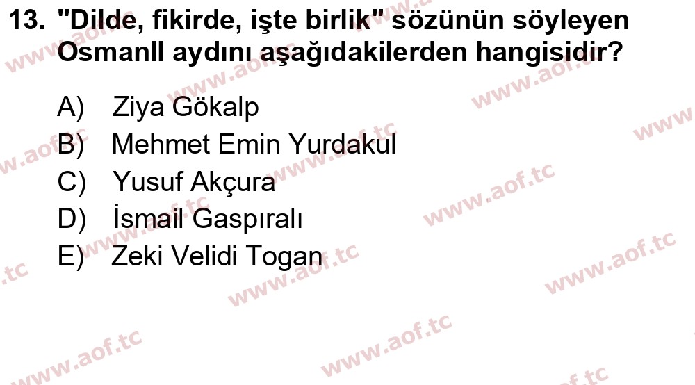 2023 Atatürk İlkeleri ve İnkılap Tarihi 1 Yaz Okulu 13. Çıkmış Sınav Sorusu
