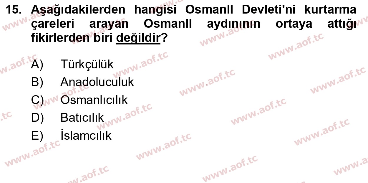 2025 Atatürk İlkeleri ve İnkılap Tarihi 1 Final 15. Çıkmış Sınav Sorusu