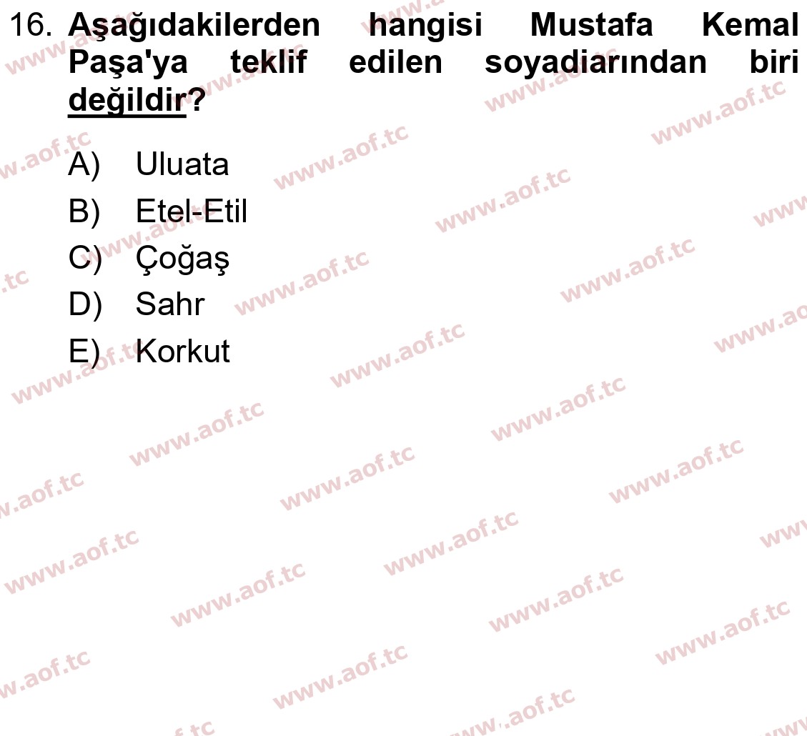 2024 Atatürk İlkeleri ve İnkılap Tarihi 2 Arasınav 16. Çıkmış Sınav Sorusu