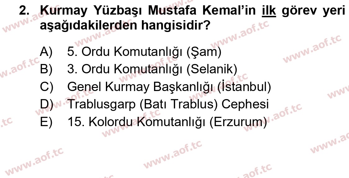 2025 Atatürk İlkeleri ve İnkılap Tarihi 2 Arasınav 2. Çıkmış Sınav Sorusu