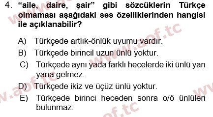 2024 Türk Dili 1 Yaz Okulu 4. Çıkmış Sınav Sorusu