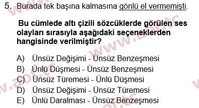 2024 Türk Dili 1 Yaz Okulu 5. Çıkmış Sınav Sorusu