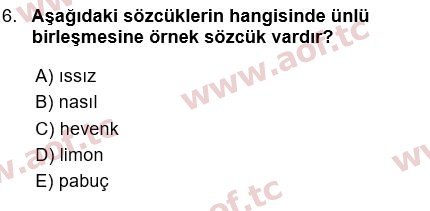 2024 Türk Dili 1 Yaz Okulu 6. Çıkmış Sınav Sorusu