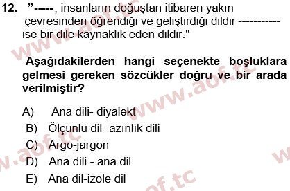 2025 Türk Dili 1 Arasınav 12. Çıkmış Sınav Sorusu