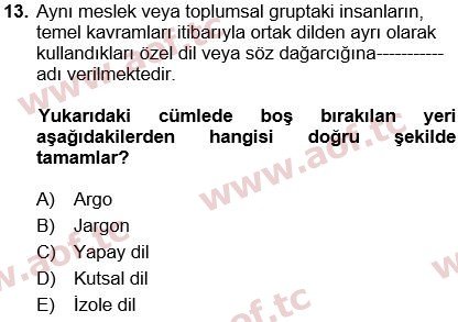 2025 Türk Dili 1 Arasınav 13. Çıkmış Sınav Sorusu