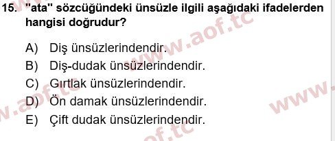 2025 Türk Dili 1 Arasınav 15. Çıkmış Sınav Sorusu