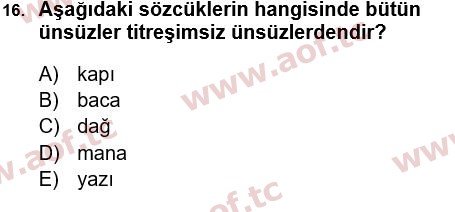 2025 Türk Dili 1 Arasınav 16. Çıkmış Sınav Sorusu