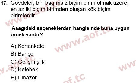 2025 Türk Dili 1 Arasınav 17. Çıkmış Sınav Sorusu