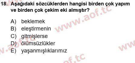 2025 Türk Dili 1 Arasınav 18. Çıkmış Sınav Sorusu