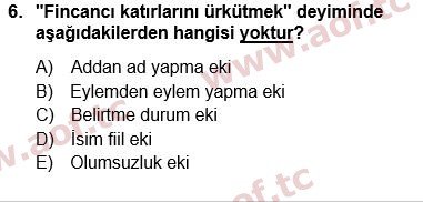 2025 Türk Dili 1 Arasınav 6. Çıkmış Sınav Sorusu