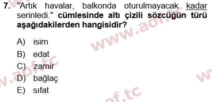 2025 Türk Dili 1 Arasınav 7. Çıkmış Sınav Sorusu