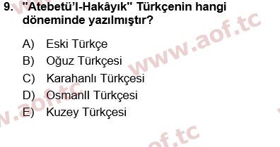 2025 Türk Dili 1 Arasınav 9. Çıkmış Sınav Sorusu