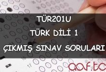 Türk Dili 1 Çıkmış Sınav Soruları